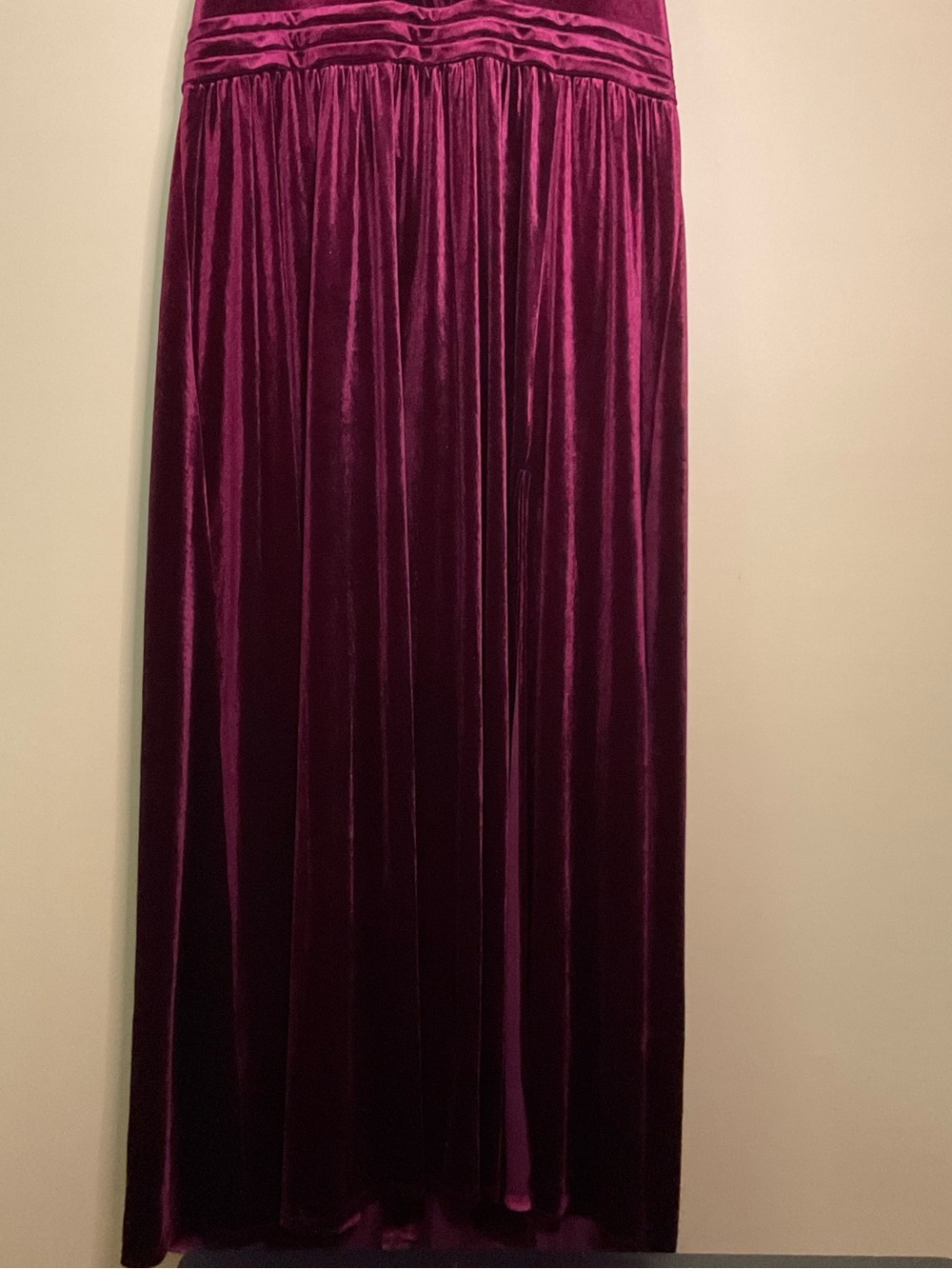 Disney Hocus Pocus Plus Size Burgundy Velvet Costume - Picture 7 of 7